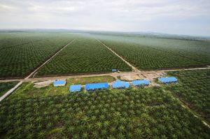 87646_990x742-cb1420747242